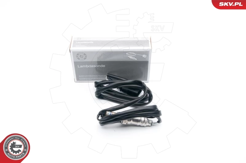 Oxygen Sensor